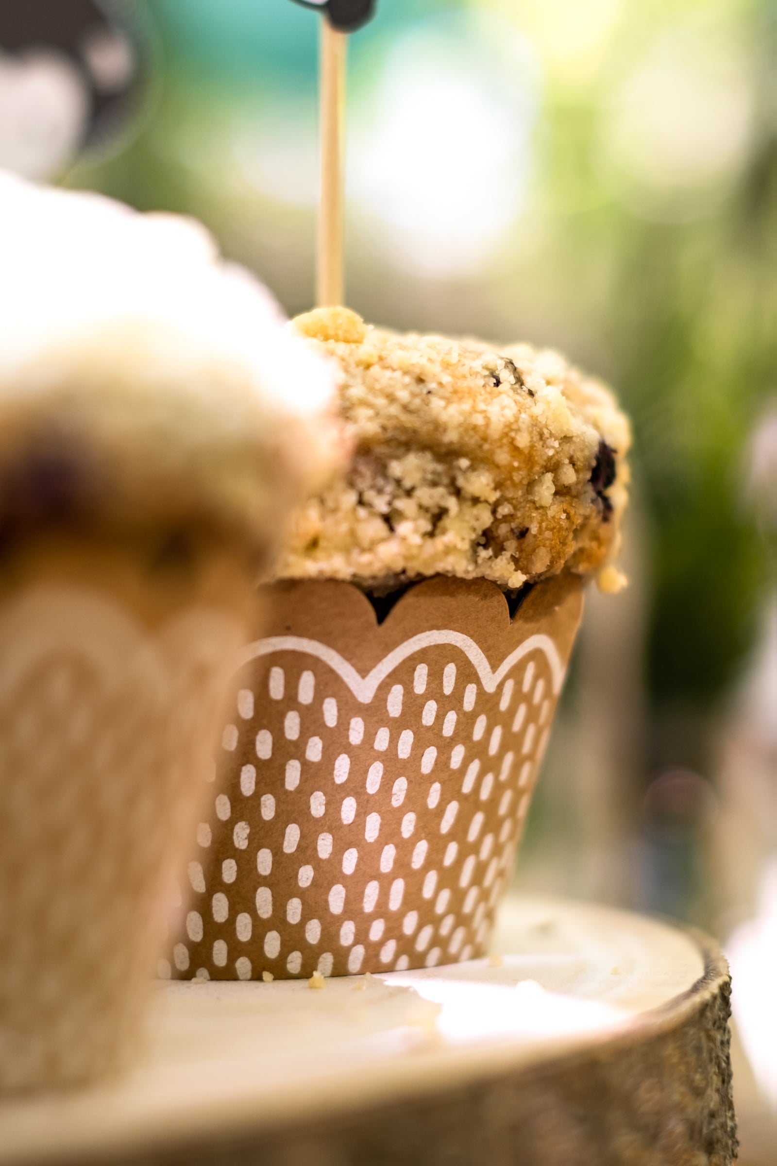 Vue de profil du moule kraft des moules à cupcake et pics en bois animaux de la forêt