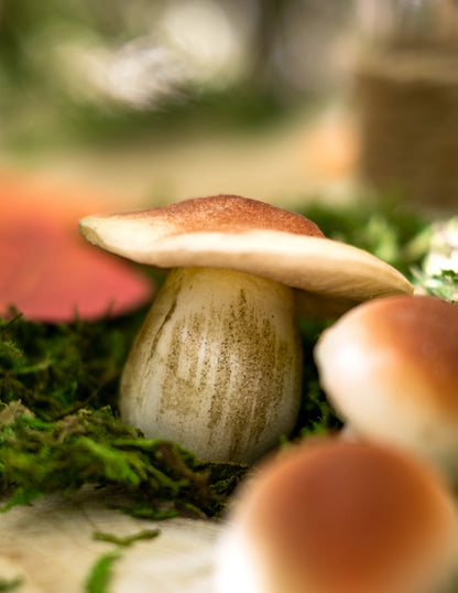 Gros plan sur un des champignons en mousse aspect naturel