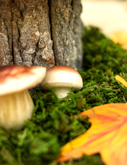 Détail au pied d'un tronc des champignons en mousse aspect naturel pour décoration