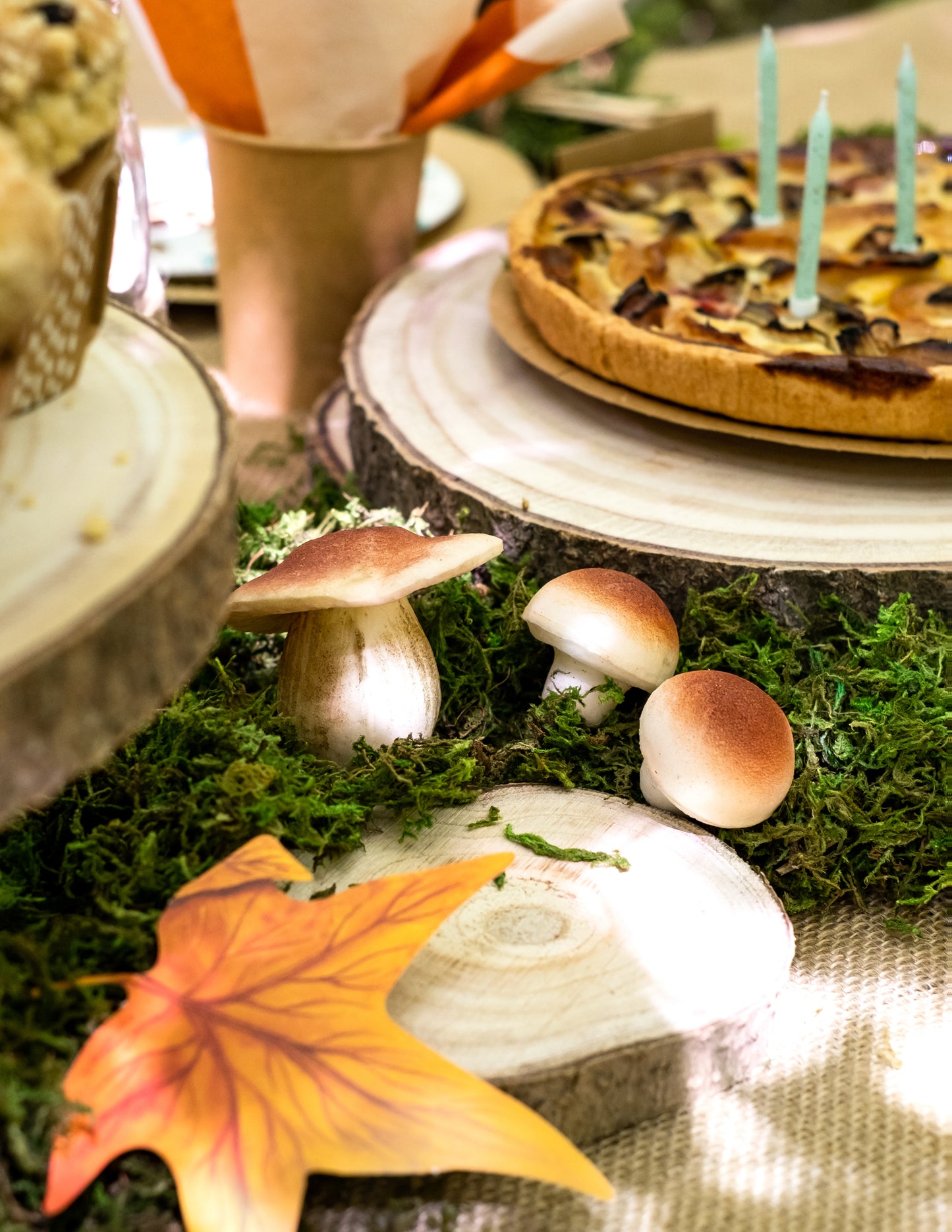 Mise en situation des champignons en mousse aspect naturel pour décoration beige et marron