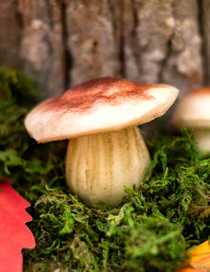 Gros plan sur la mousse au pied du champignons en mousse aspect naturel pour décoration