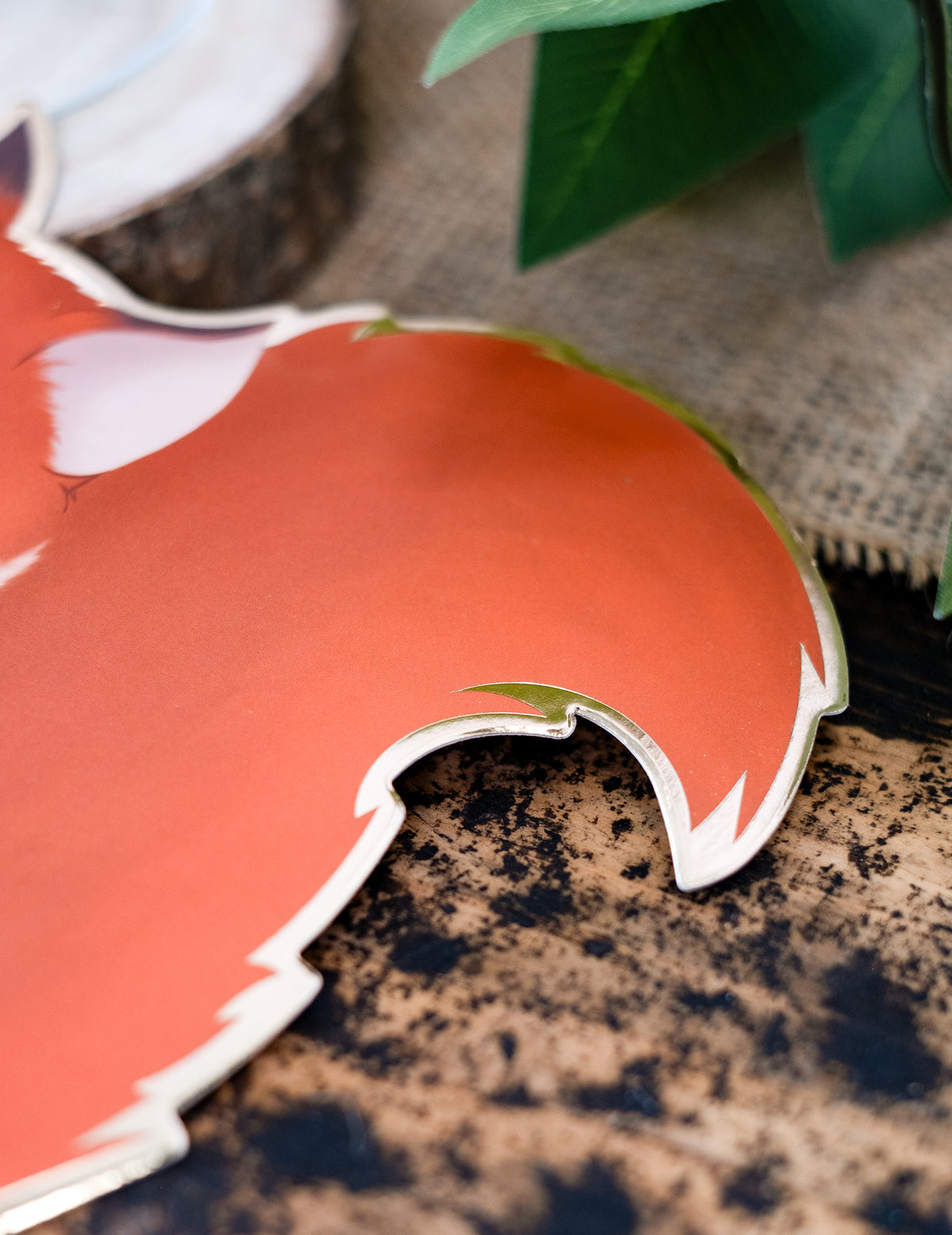 Détail de la queue de l'écureuil des invitations woodland écureuil