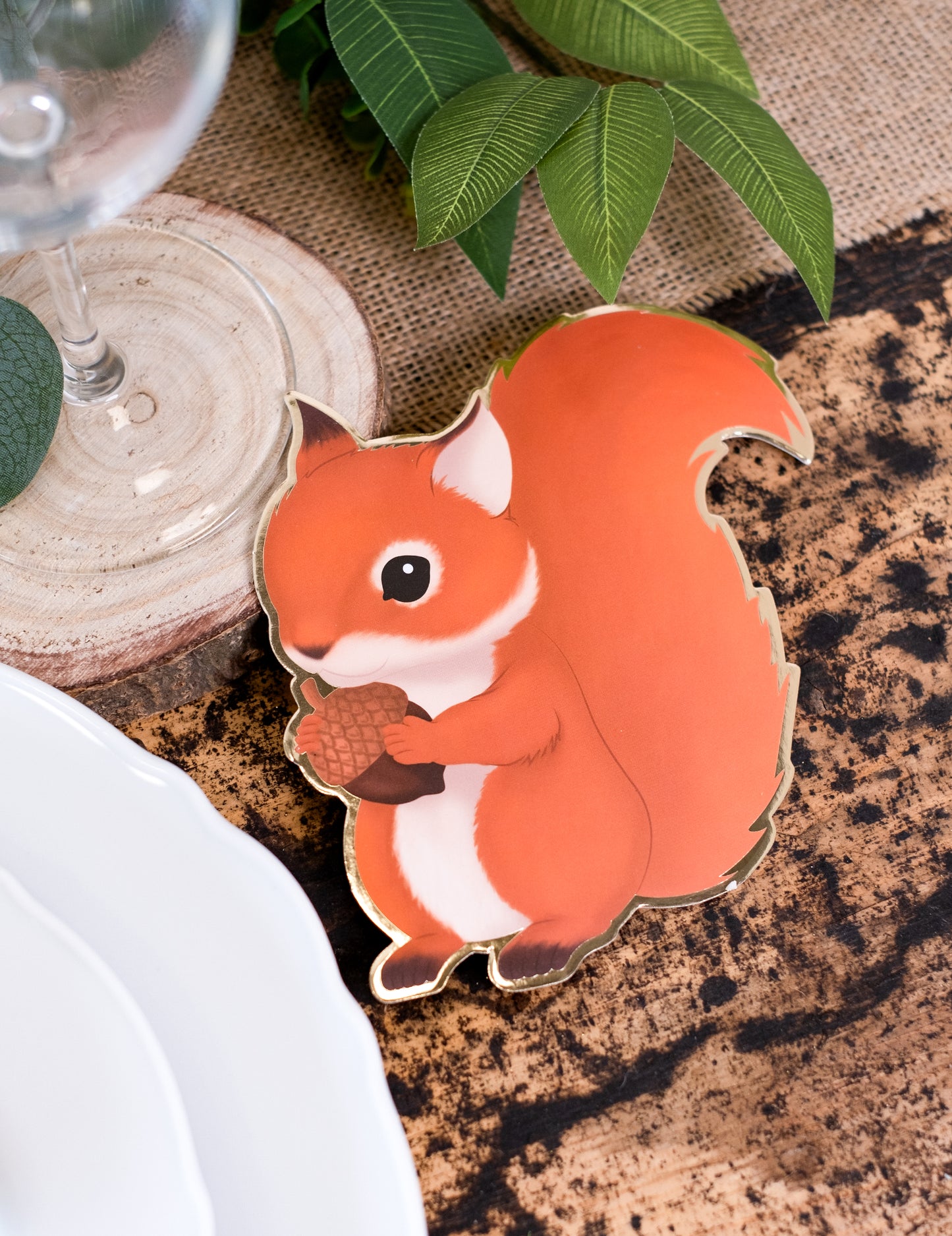 8 pozvánok s lesnými veveričkami 14 x 13 cm zvieratá z lesa