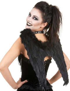 Halloween čierne krídla