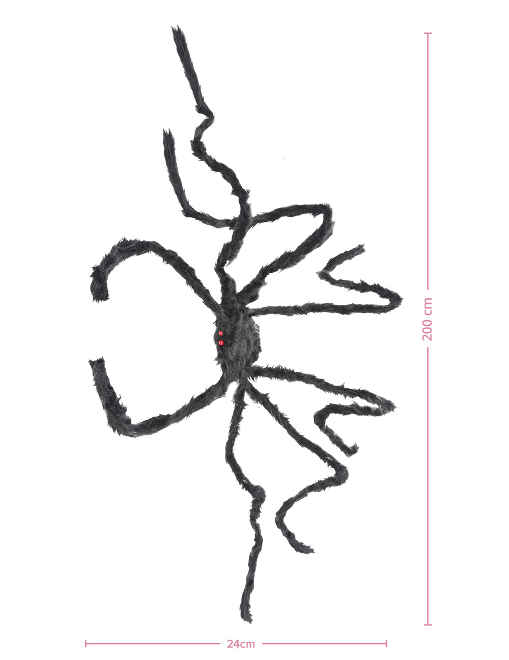 Dimensions de l'araignée géante pour Halloween