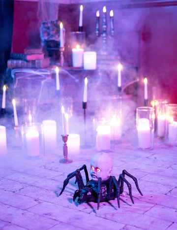 Veľký pavúk s živou a jasnou plazivou bábikou 19 x 33 cm