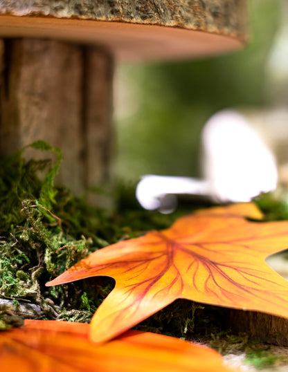 Súprava 11 kartónových jesenných listov 