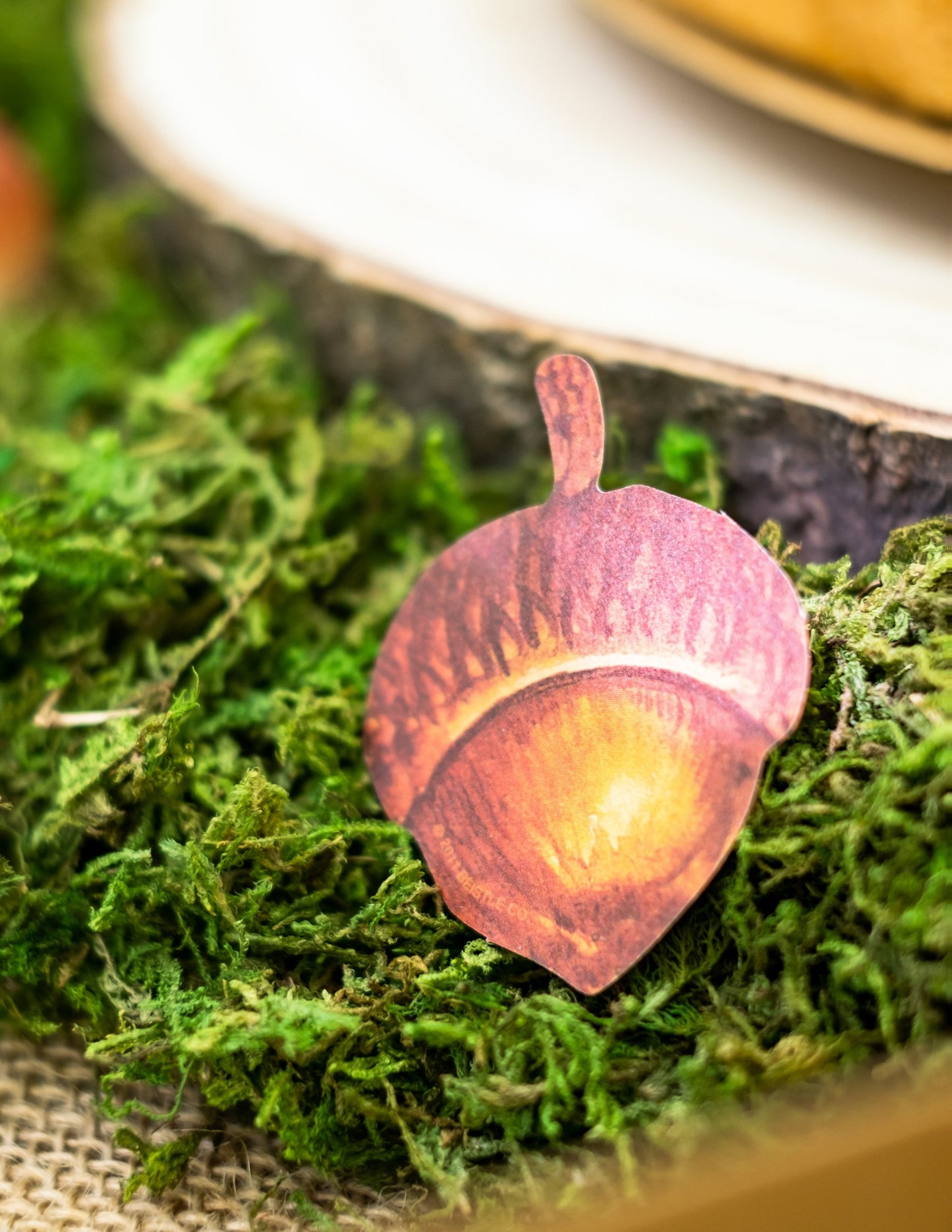 Súprava 11 kartónových jesenných listov 