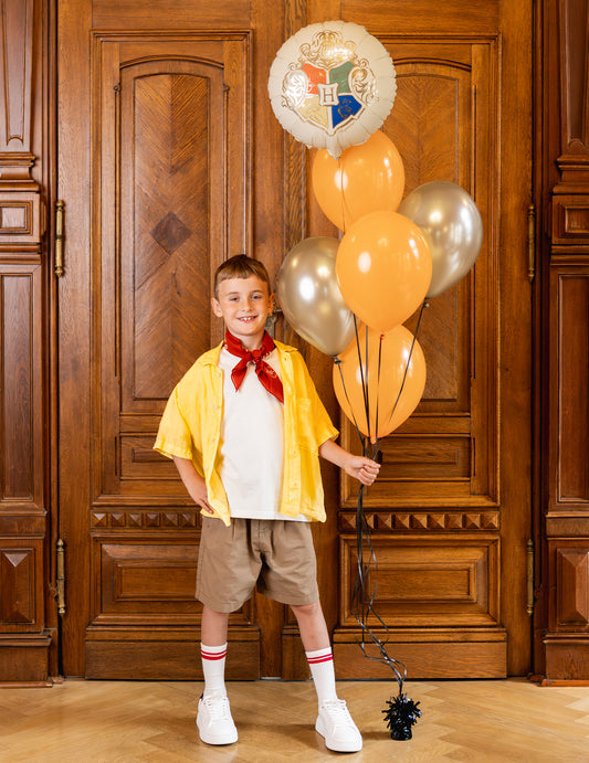 Fóliový balón Harry Potter™ Erb Rokfortu 35 cm