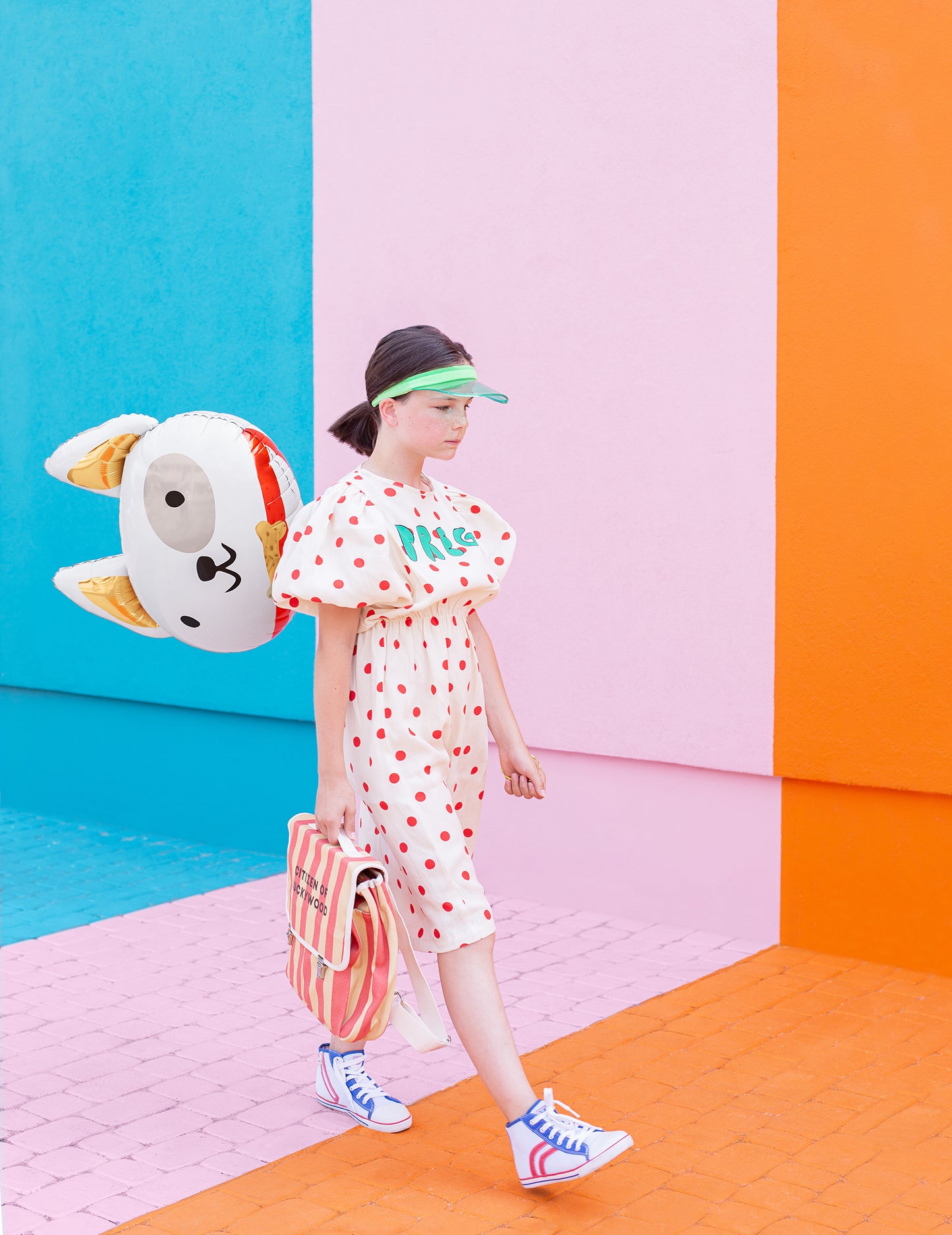 Hliníková guľa s hlavou psa, 56 x 65 cm na narodeniny