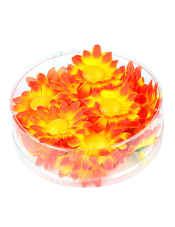 Box s 20 oranžovo-žltými kvetmi Daisy