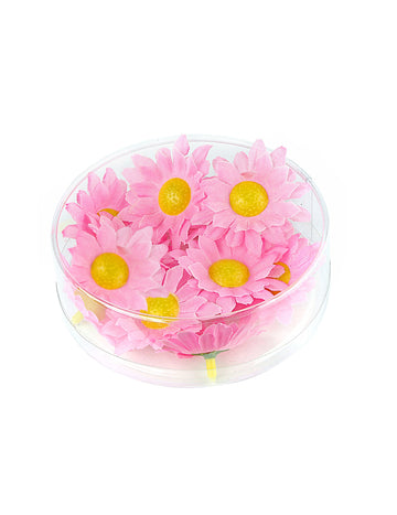 Box s 20 svetloružovými kvetmi sedmokrásky