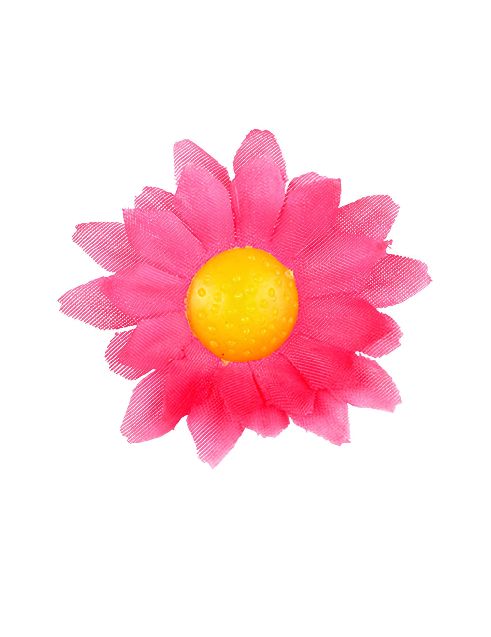 Gros plan sur une fleur des fleurs marguerites pour décoration rose