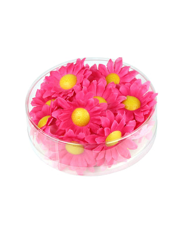 Box s 20 ružovými kvetmi Daisy