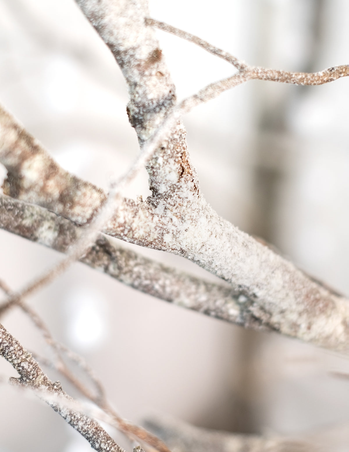Détail de l'effet de neige sur des branches du bombe spray neige Noël