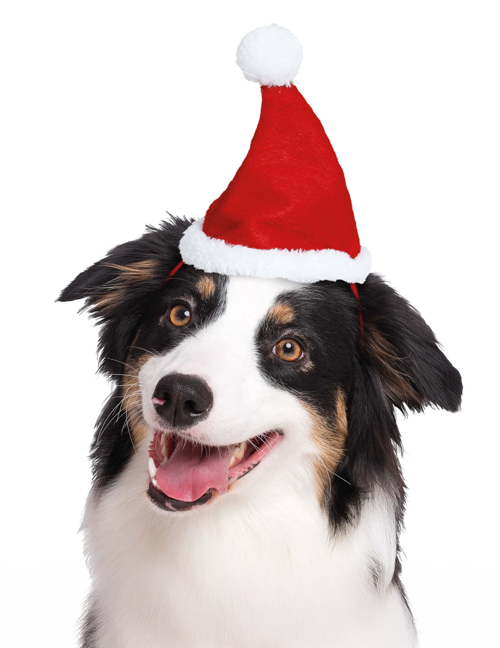 Bonnet de Noël pour animaux rouge et blanc