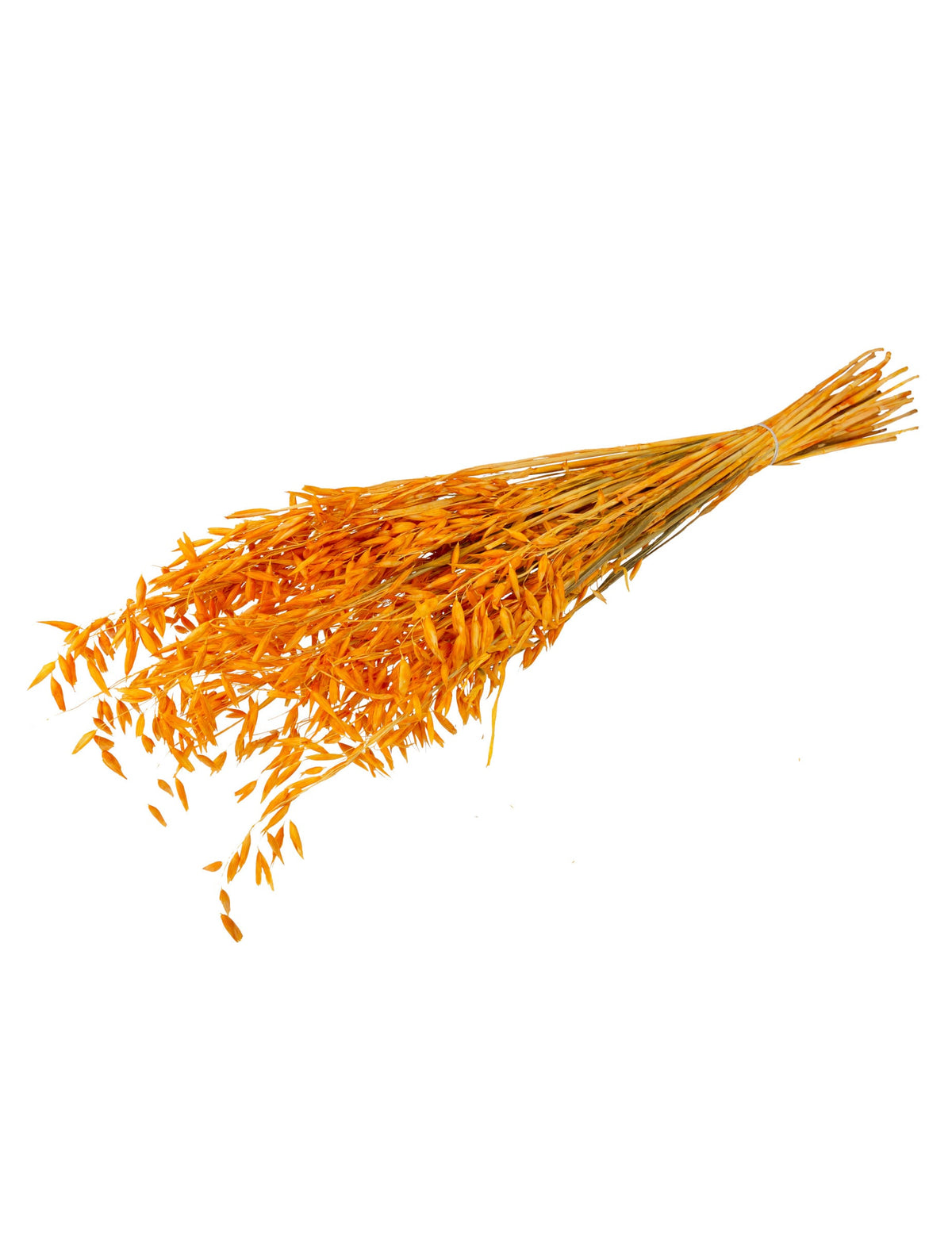 Bouquet d'avoine séché pour décoration moutarde