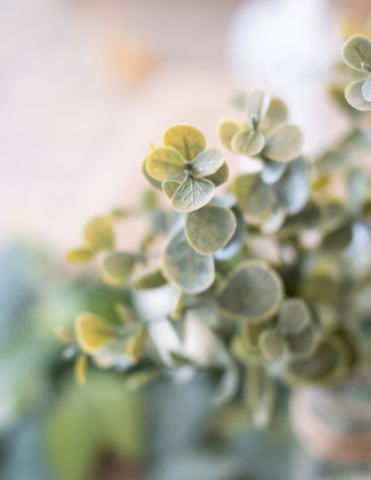 Kytica zelených listov eukalyptu 35 cm rastlinná dekorácia