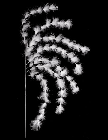 Vetvenie 7 prameňov bielych pierok 60 cm bohémska atmosféra