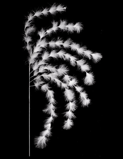 Branchage 7 brins plumes ambiance bohème pour décoration blanches