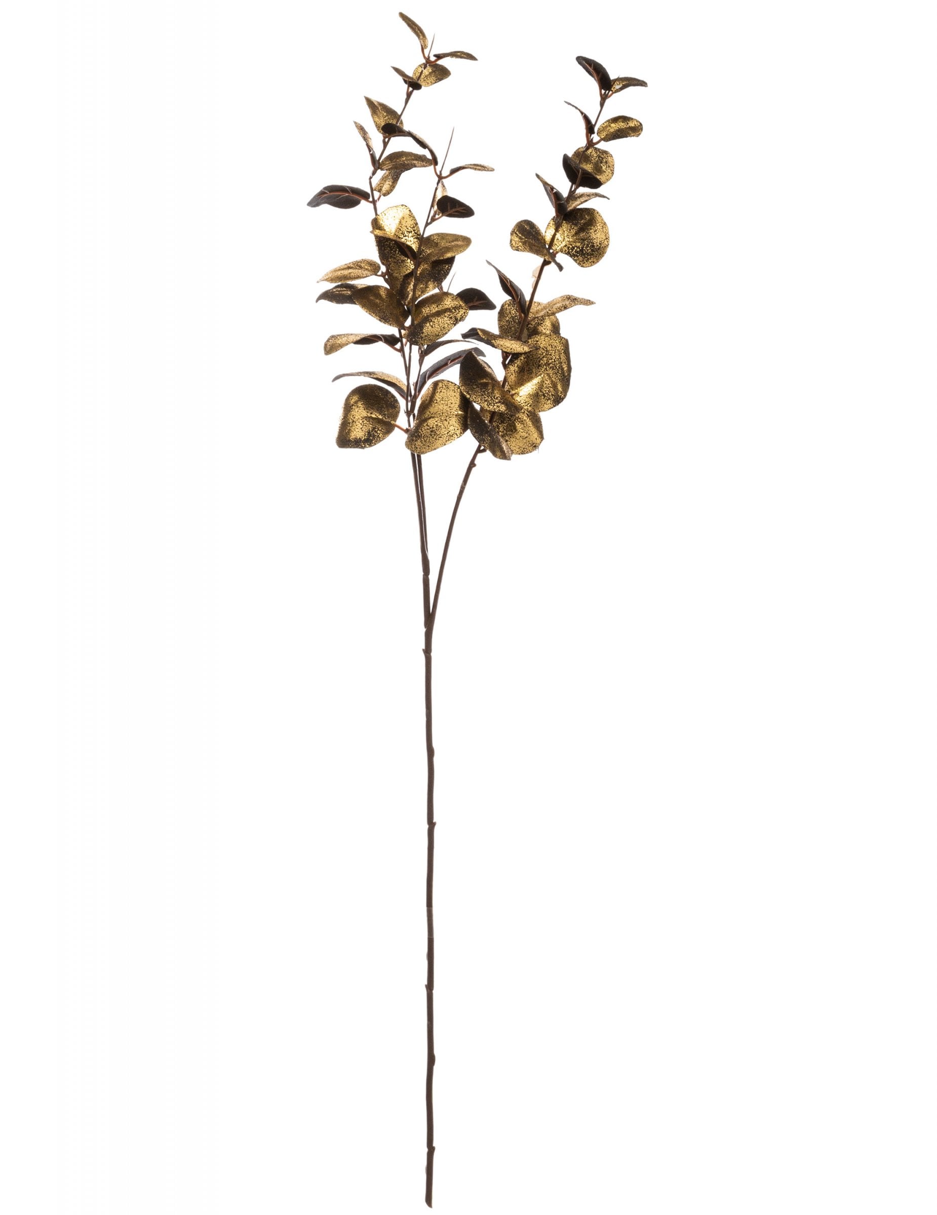 Branche d'eucalyptus pour décoration dorée