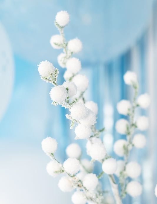 Détail de la texture de la branche boules givrées pour décoration de Noël blanches