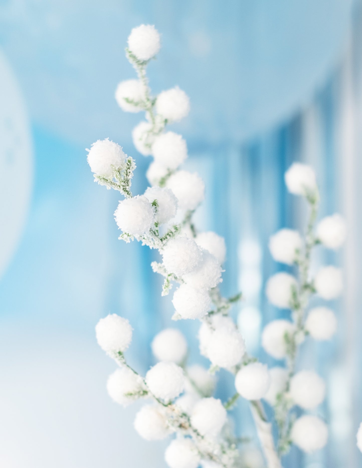 Konár s bielymi ojínenými bobuľami 52 cm na vianočné ozdoby