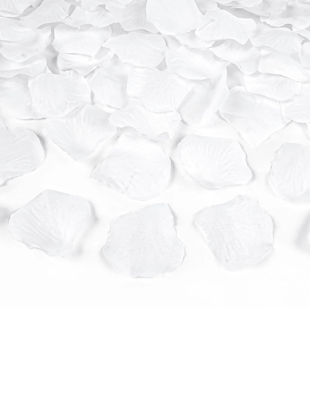 Vue rapprochée des pétales du canon à confettis pétales blanc