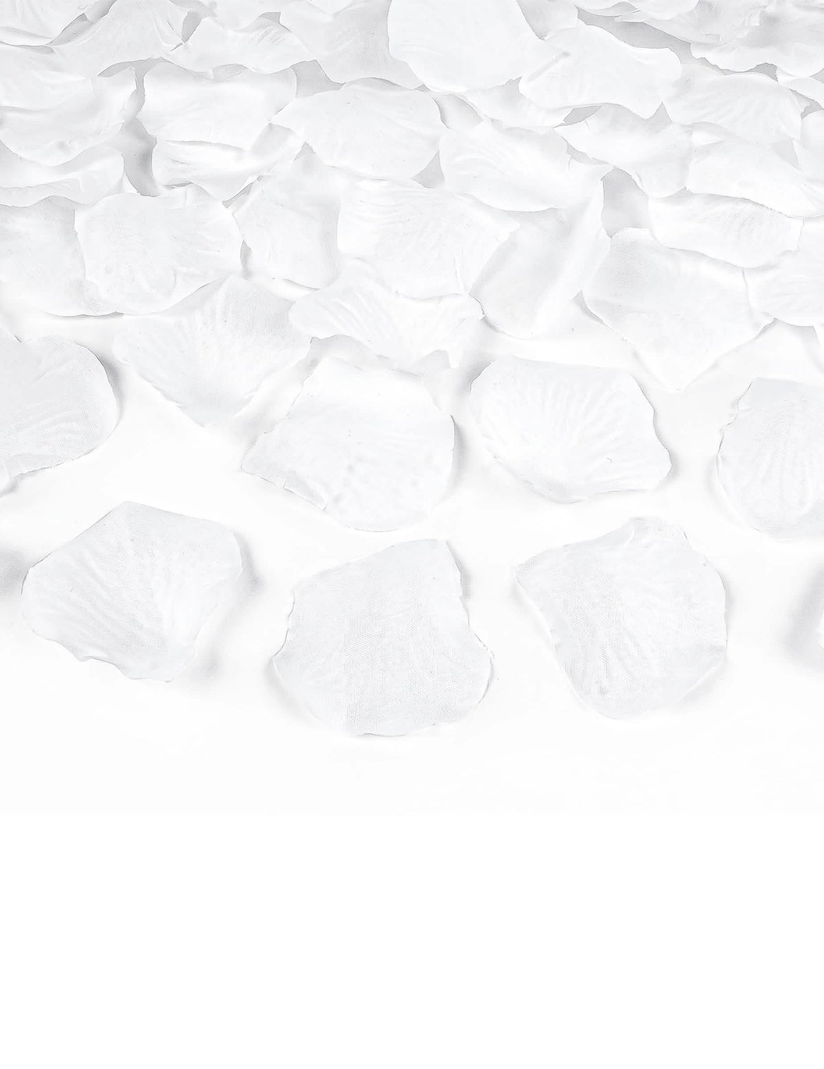 Vue rapprochée des pétales du canon à confettis pétales blanc