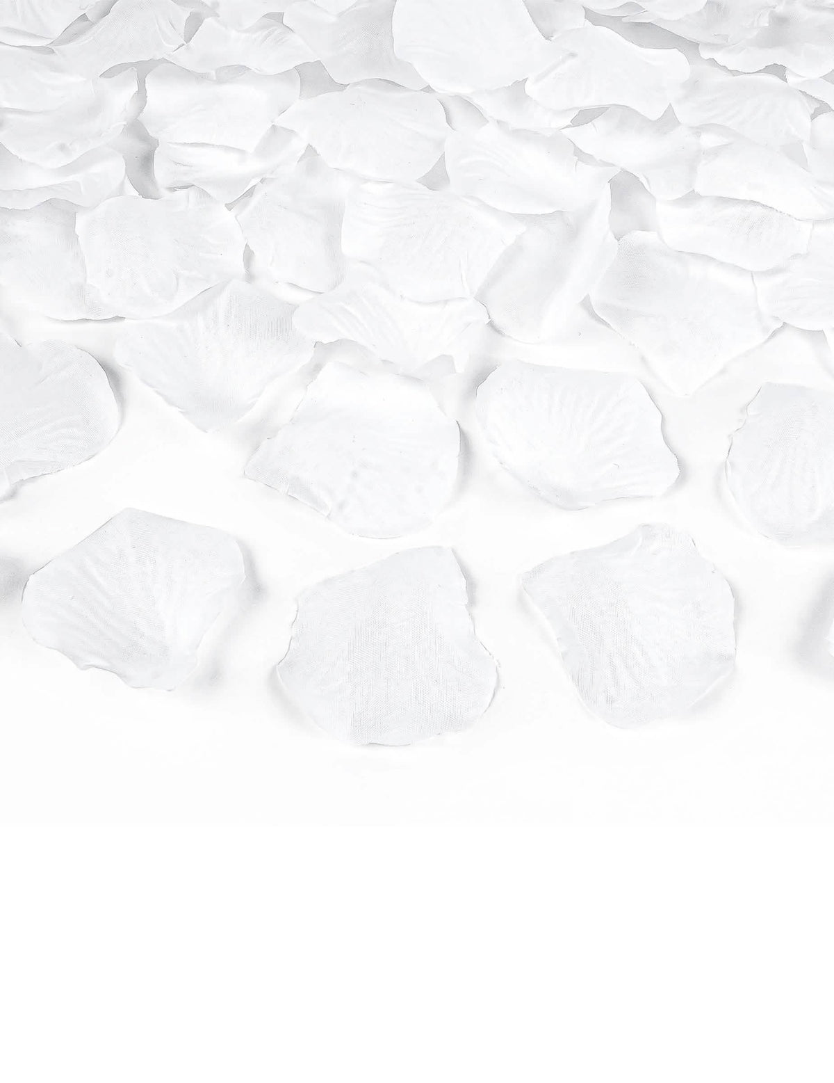 Détail des pétales du canon à confettis pétales blanc