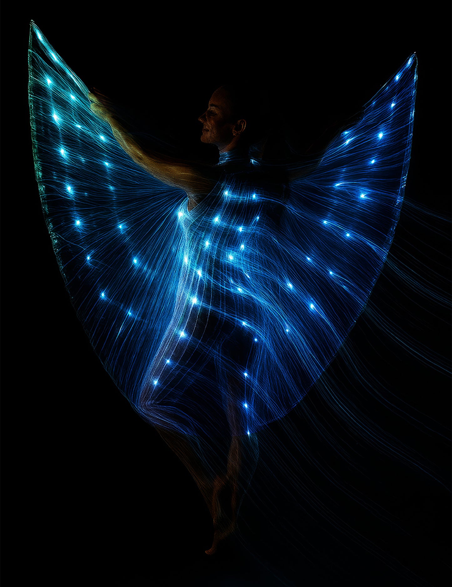 Kosatec kapský so stonkami a svetlom 140 cm