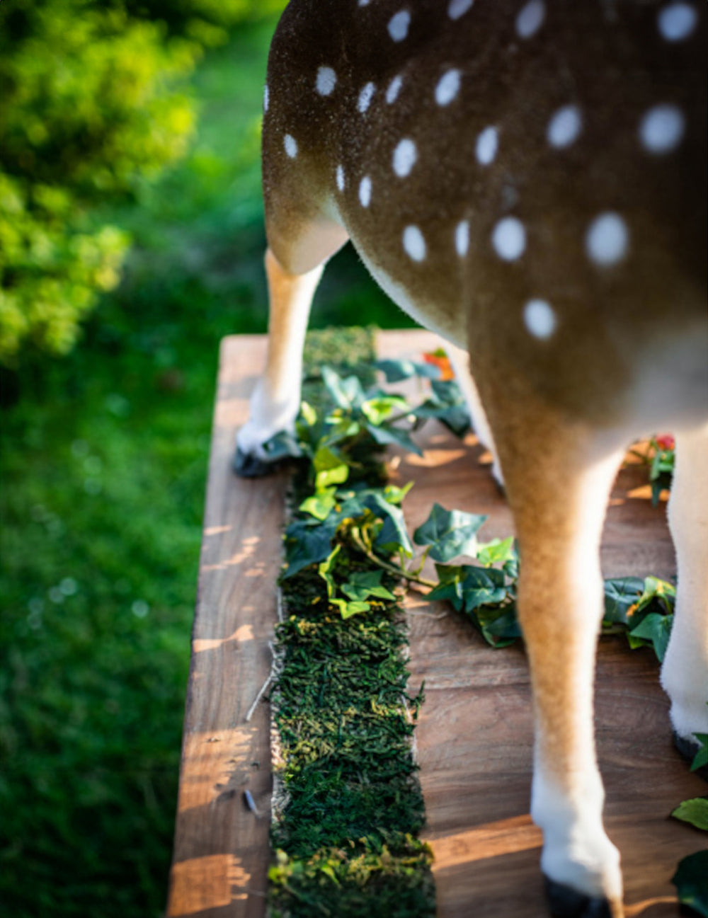Gros plan sur la mousse du chemin de table végétal effet forêt