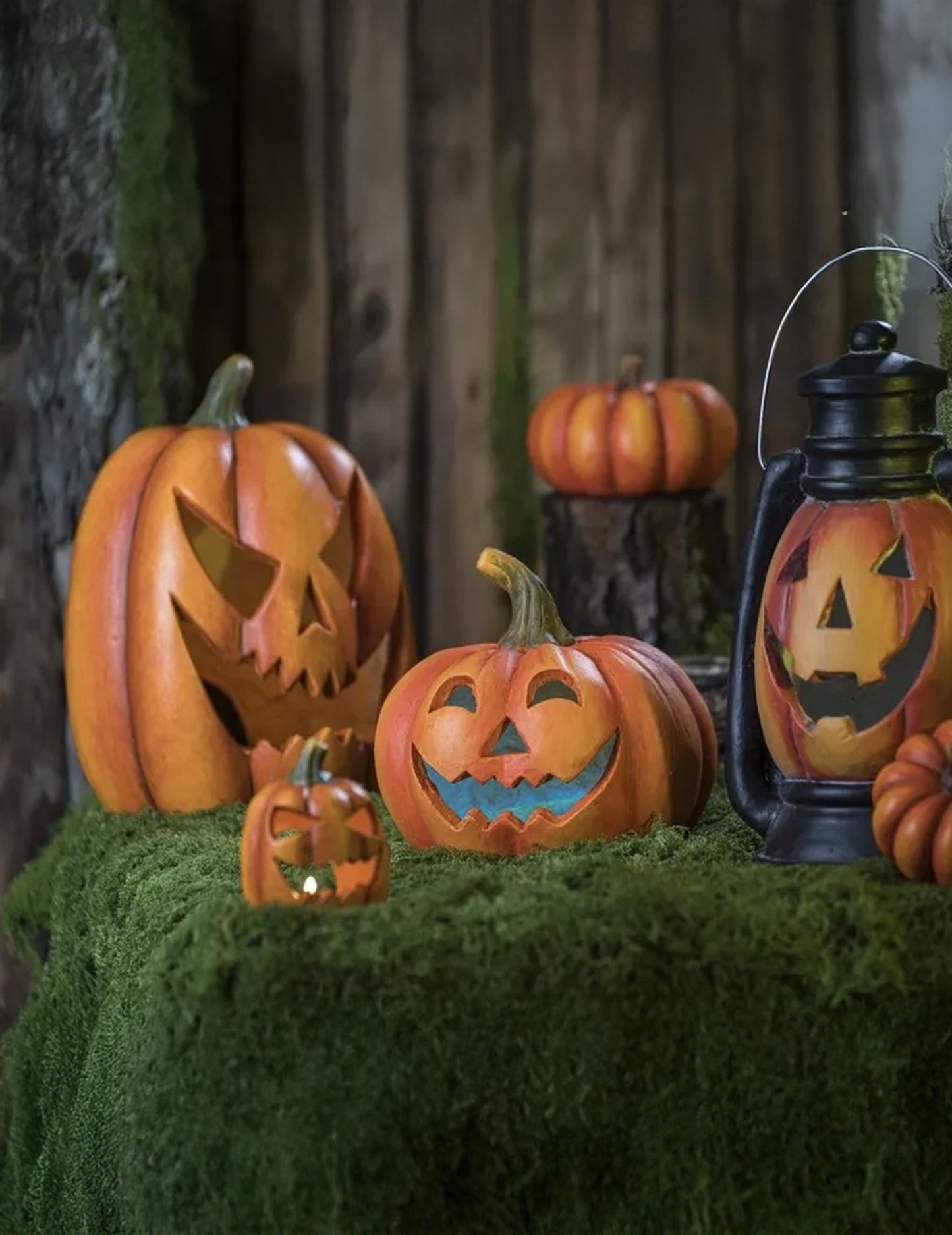 Desivá tekvica 36 cm