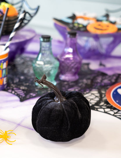 Čierna zamatová tekvica 10 cm