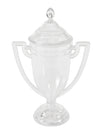 Contenant en forme de coupe de vainqueur en plastique transparent