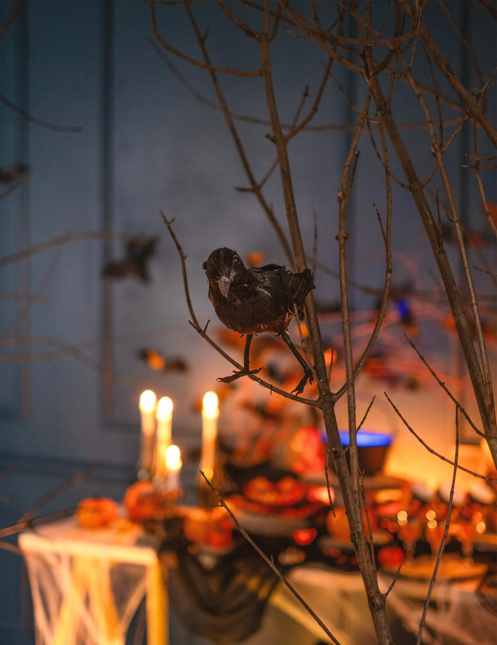 Umiestnenie havrana s perím na halloweensku dekoráciu