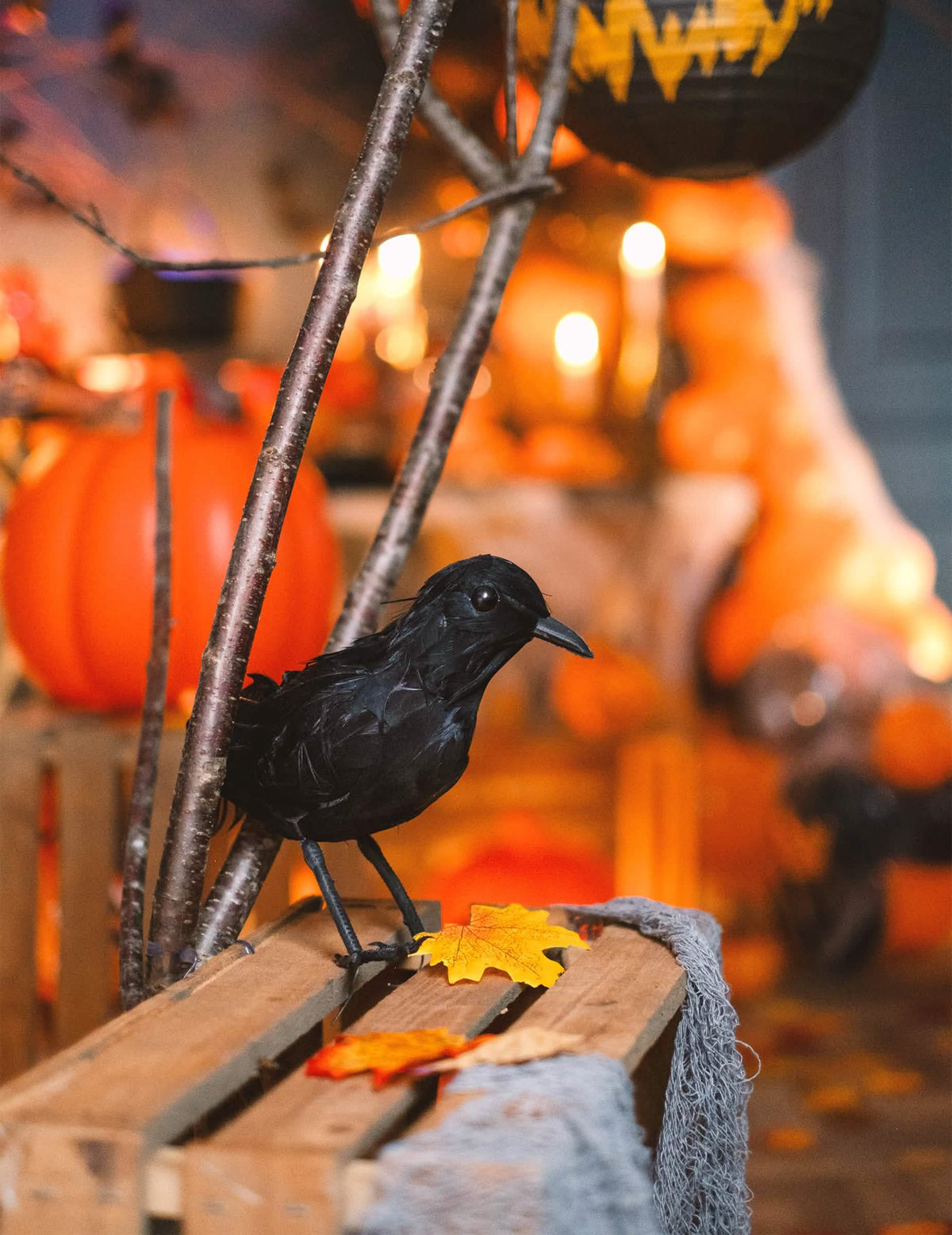 Bočný pohľad na havrana z peria na dekoráciu halloween