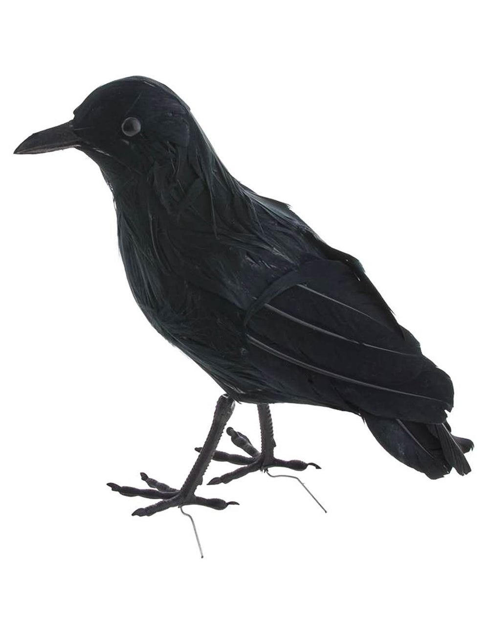 Havran z pier pre dekoráciu na halloween čierna