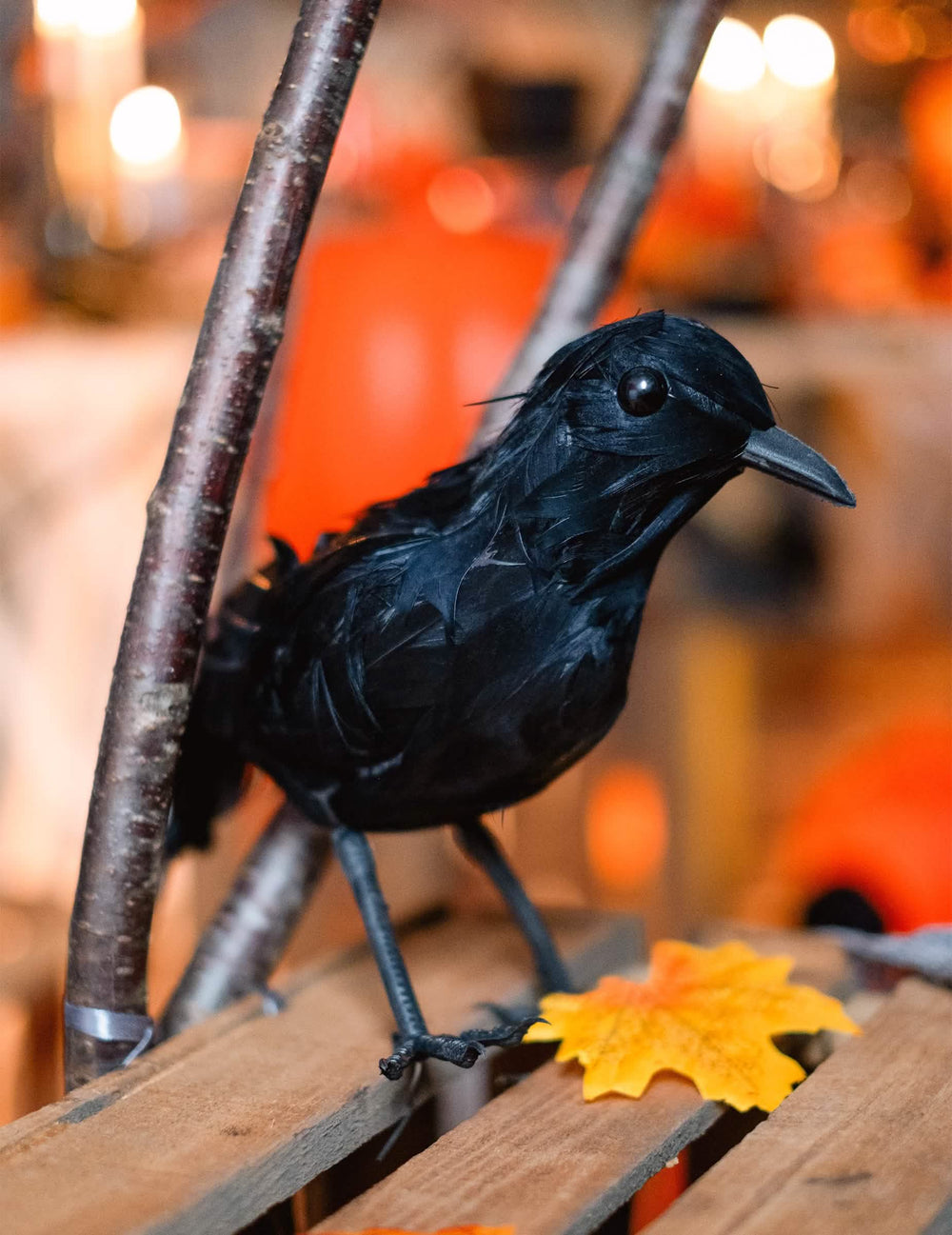 Detailný záber na perie vrany z peria na dekoráciu na halloween