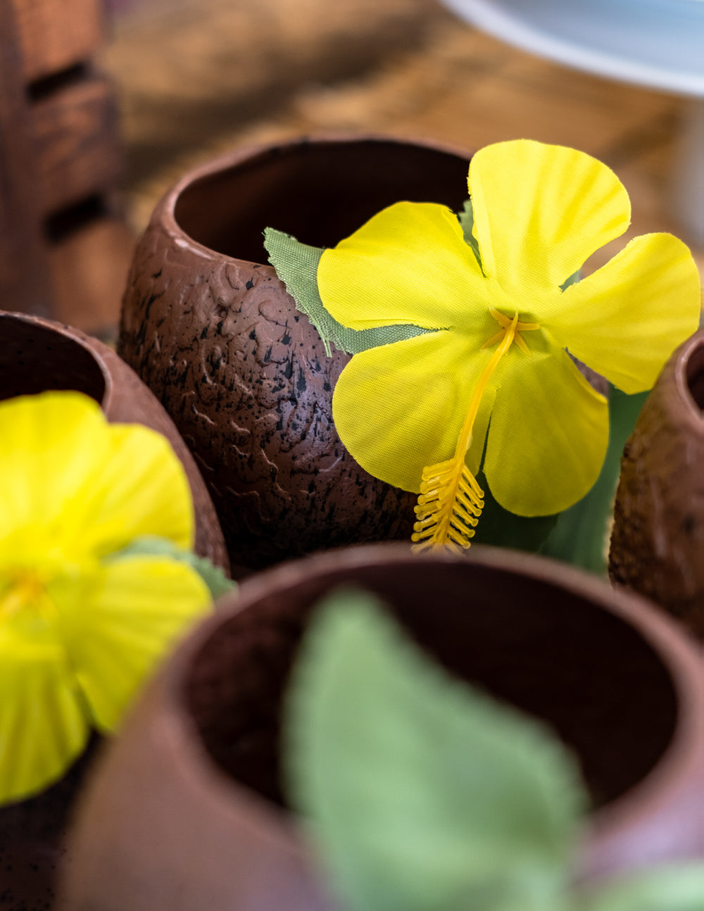 Détail de la fleur jaune de la Coupe Hawaï noix de coco tropicale