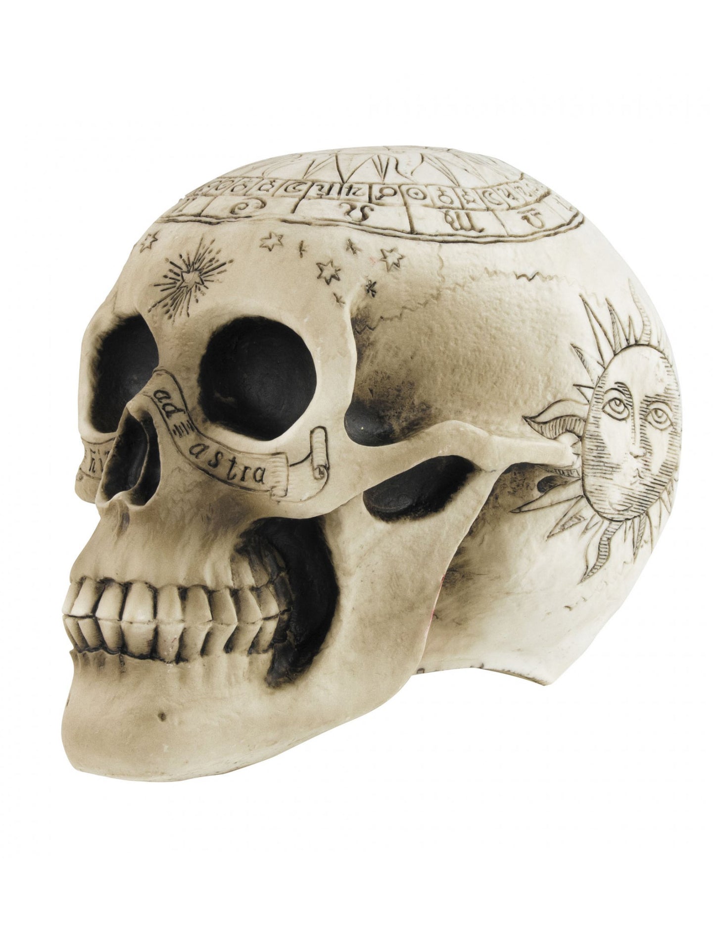 Skeleton lebka s pentagramom 18 x 12 x 15 cm