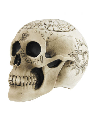 Skeleton lebka s pentagramom 18 x 12 x 15 cm