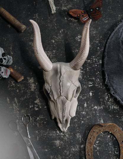 14 x 40 cm lebka Buffalo Head