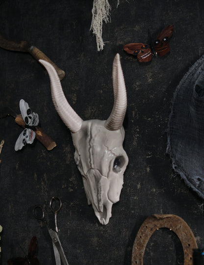 14 x 40 cm lebka Buffalo Head