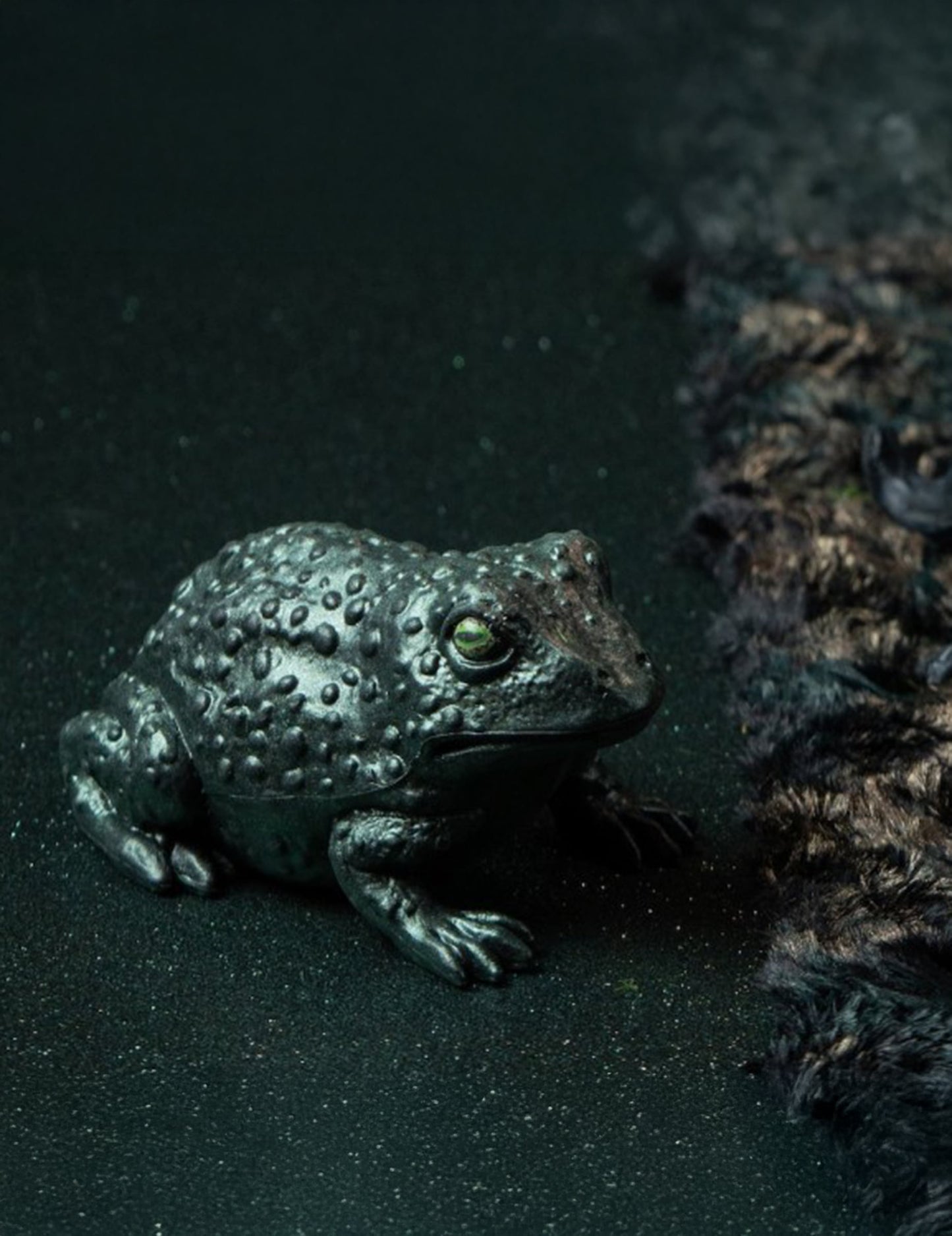 Mise en situation du crapaud en plastique vert irisé