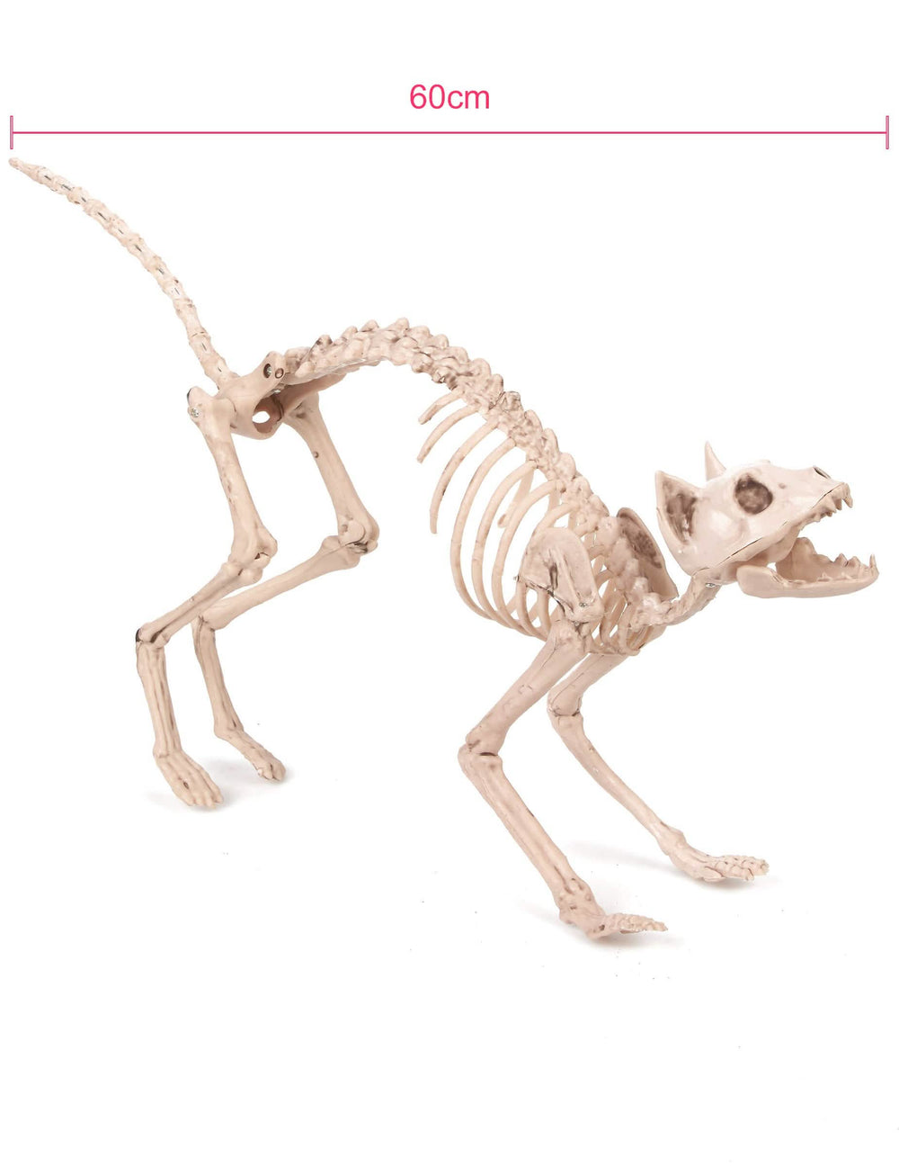 Bočný pohľad s rozmermi dekorácie halloween kostry mačky