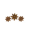Décorations en résine anis étoilé pour table marron