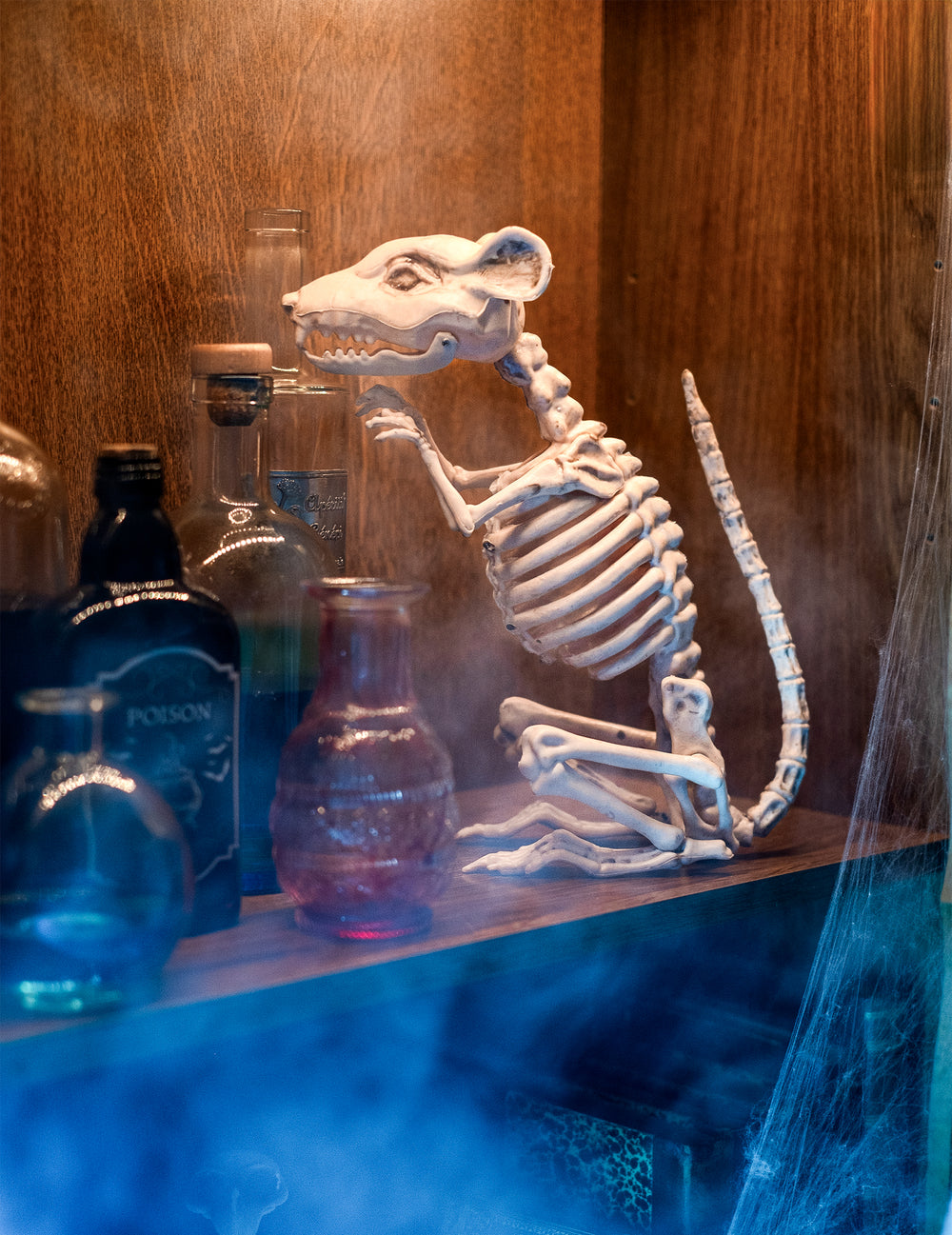 Mise en situation de la décoration rat squelette pour Halloween parmi des fioles de poison