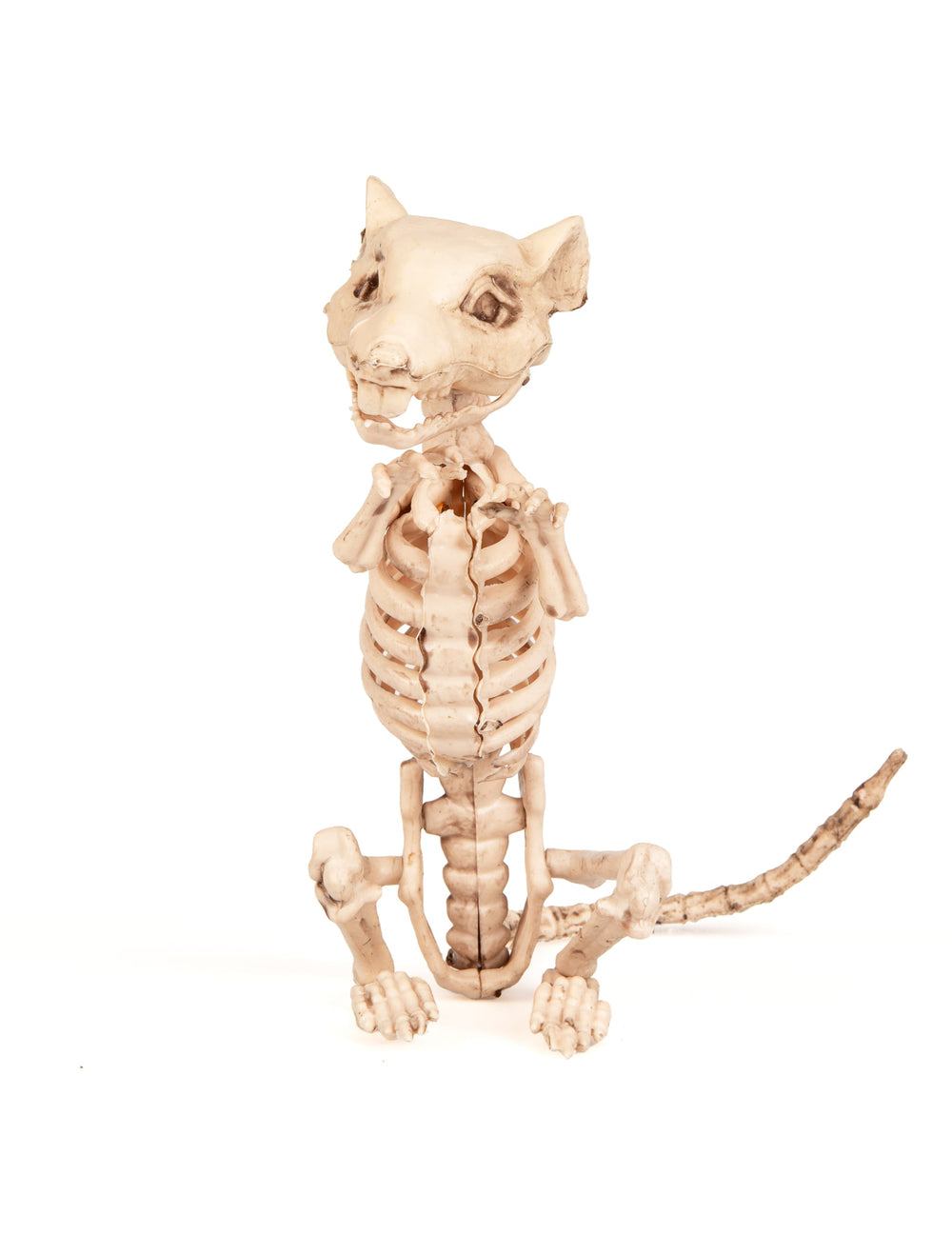 Vue de face de la décoration rat squelette Halloween