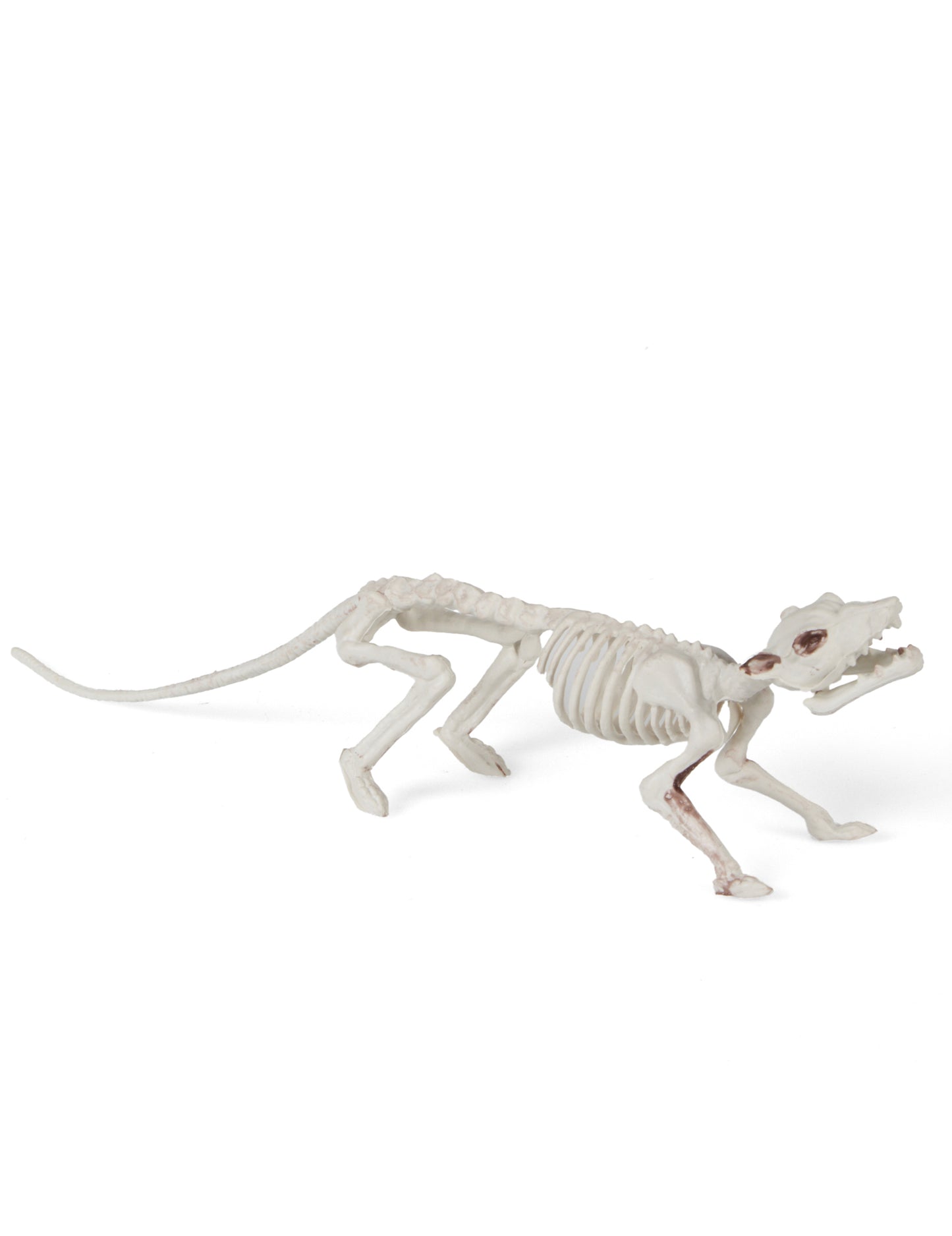 Dekorácia kostry potkanov 16 x 23 cm Halloween